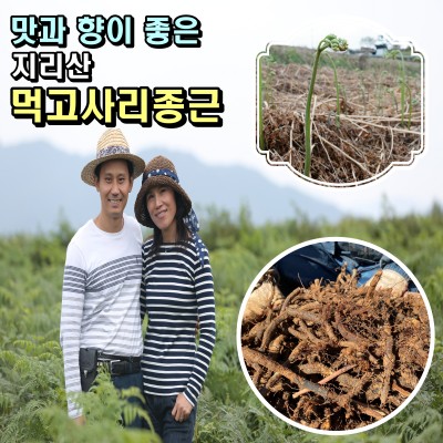 한잎새 먹 고사리재배 12kg